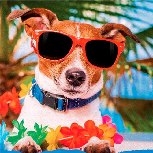 Toalha de Praia Summer Dog