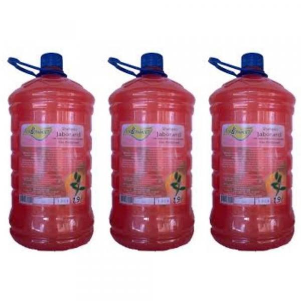 Tok Bothânico Jaborandi Shampoo 1,9 L (Kit C/03)