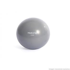 Tonning Ball Proaction Cinza 04Kg - 04kg - Cinza