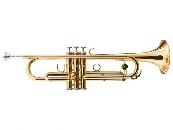 Trompete Michael Si Bemol - Dual Gold WTRM68