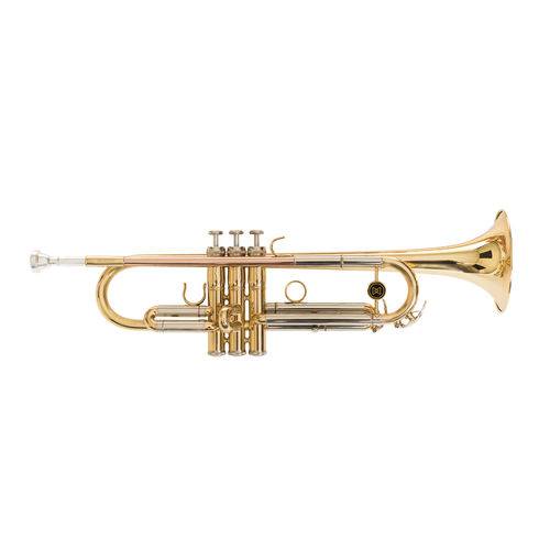 Trompete - Michael Wtrm-66/bb/laquea