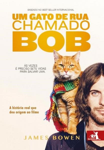 Um Gato de Rua Chamado Bob - a História Real que Deu Origem ao Filme - Novo Conceito
