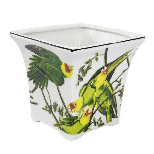 Tamanhos, Medidas e Dimensões do produto Vaso de Cerâmica Parrots P