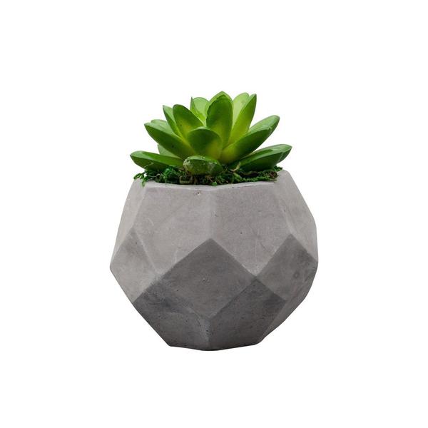 Vaso Decorativo 10,5cm de Cimento com Cactos Lyor - L3606