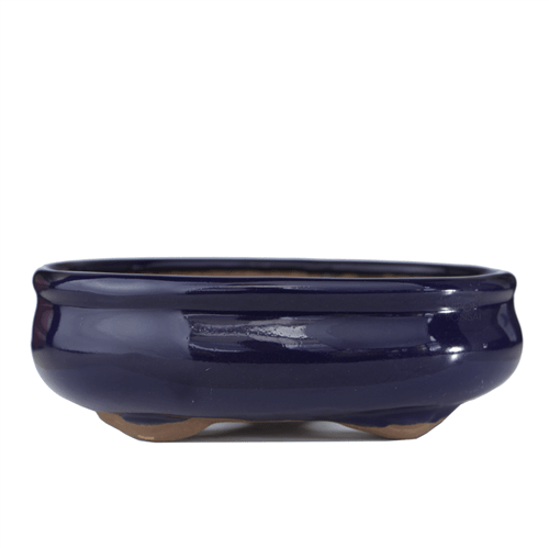 Vaso para Bonsai Oval 15X10x4cm (azul)
