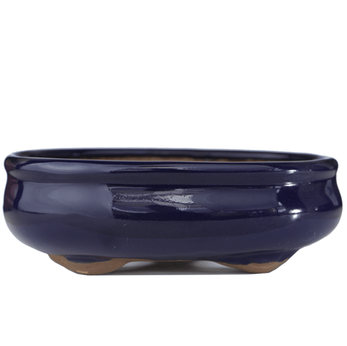 Vaso para Bonsai Oval 17X13x5cm (azul)