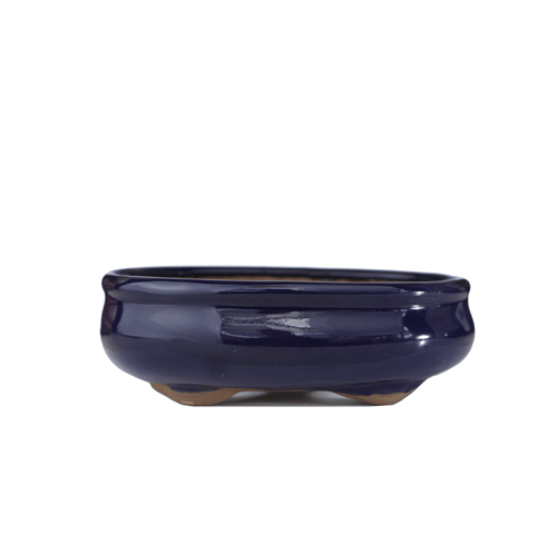 Vaso para Bonsai Oval 12X9x3cm (azul)