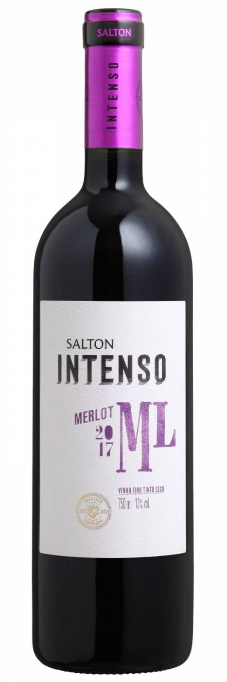 Vinho Merlot Intenso Salton - 254-1