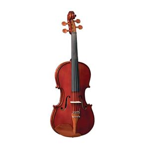 Violino 4/4 Classic Series Envernizado VE441 - Eagle