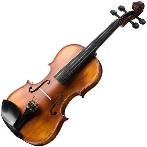 Tudo sobre 'Violino Michael Vnm49 4/4'
