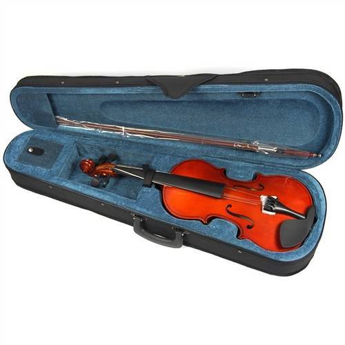 Tudo sobre 'Violino Clássico 4/4 Acústico Aubvl14 Auburn'
