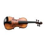 Violino Michael Vnm49 4/4 Ébano Series