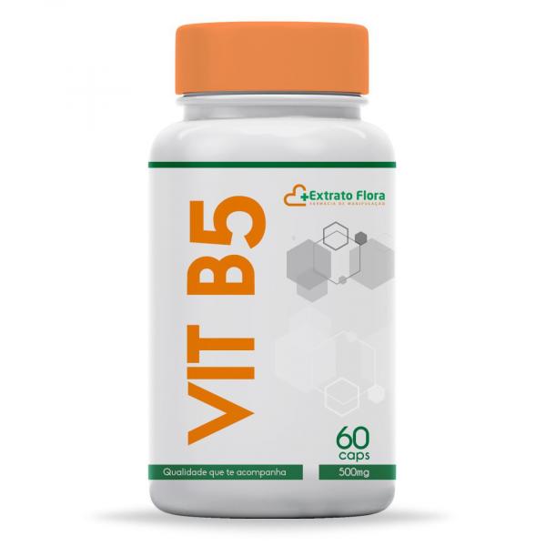 Vitamina B5 500mg 60 Cápsulas - Extrato Flora