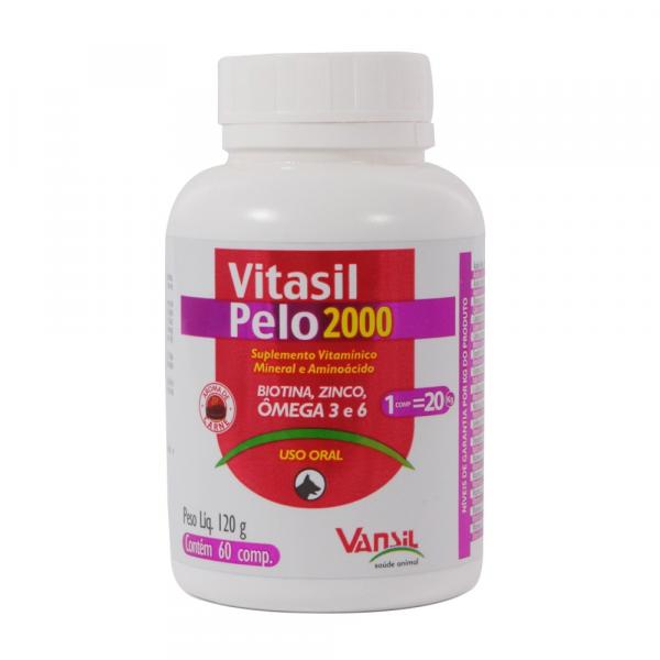 Vitasil 2000 Pelo 120 G Suplemento Vitamínico Comprimidos - Vansil