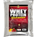 Whey Protein Glutamax Refil 500g - Dna