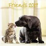 Ficha técnica e caractérísticas do produto 2019 Friends Broschurenkalender - 30x30