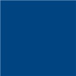 Ficha técnica e caractérísticas do produto 25 Saco Metalizado P/Presente 45X59Cm Liso Azul Opaco - Cromus