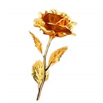 Ficha técnica e caractérísticas do produto A Rosa Encantada de Ouro Dourado