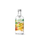 Ficha técnica e caractérísticas do produto Absolut Vodka Mango Sueca - 750ml
