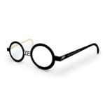 Ficha técnica e caractérísticas do produto Acessório Óculos Harry Potter
