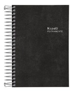 Ficha técnica e caractérísticas do produto Agenda Tilibra Executiva Napoli Espiral Permanente 141631