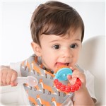 Ficha técnica e caractérísticas do produto Alimentador de Frutas para Bebê - Comtac - Comtac Kids