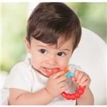 Ficha técnica e caractérísticas do produto Alimentador de Frutas para Bebê
