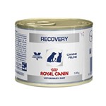 Ficha técnica e caractérísticas do produto Alimento Úmido Recovery Lata Royal Canin Cães e Gatos 195g