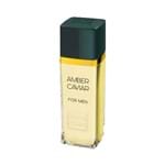 Ficha técnica e caractérísticas do produto Amber Caviar Paris Elysees Eau de Toilette - Perfume Masculino 100ml