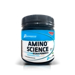Ficha técnica e caractérísticas do produto Amino Science BCAA Powder (Pó) 600g - Performance Nutrition