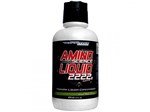 Ficha técnica e caractérísticas do produto Amino Science Liquid 2222 474ml - Performance Nutrition