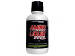 Ficha técnica e caractérísticas do produto Amino Science Liquid 2222 Pêssego 474ml - Performance Nutrition