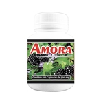 Ficha técnica e caractérísticas do produto Amora 500mg 100 cápsulas - Poly Flora