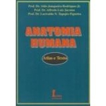 Ficha técnica e caractérísticas do produto Anatomia Humana - Atlas E Texto