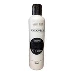 Ficha técnica e caractérísticas do produto Aneethun Aminoplex Revive Shampoo N°1 300ml