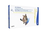 Ficha técnica e caractérísticas do produto Antipulgas Zoetis Revolution 6% para Gatos de 2,6 a 7,5 Kg com 3 Pipetas