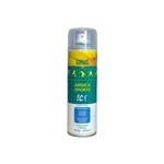 Ficha técnica e caractérísticas do produto Arnica Sports Ice 280ml - D39agua Natural