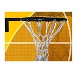 Ficha técnica e caractérísticas do produto Aro de Baskete Chuá Reforçado - Sport & Camping