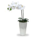 Ficha técnica e caractérísticas do produto Arranjo de Flores Artificiais Orquidea Branca Vaso Vidro Branco 50 Cm