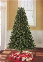 Ficha técnica e caractérísticas do produto Árvore de Natal 1,80 M 450 Galhos Glitter com 100 Luzes Brancas Led 110v - Christmas