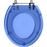Ficha técnica e caractérísticas do produto Assento Sanitário Fechamento Lento Ravena Azul Translúcido para Louça Deca