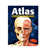Ficha técnica e caractérísticas do produto Atlas - Corpo Humano