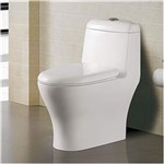 Ficha técnica e caractérísticas do produto Bacia Sanitária com Caixa Acoplada ADM-837 Toilet Adamas Branco