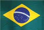 Ficha técnica e caractérísticas do produto Bandeira Do Brasil 2,5 Panos