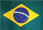 Ficha técnica e caractérísticas do produto Bandeira Do Brasil 3 Panos