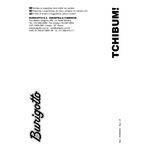 Ficha técnica e caractérísticas do produto Banheira Tchibum-branco