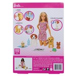 Ficha técnica e caractérísticas do produto Barbie Barbie Treinadora de Cachorrinhos Mattel FXH08