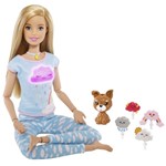 Ficha técnica e caractérísticas do produto Barbie Fashionista Medita Comigo Mattel GNK01