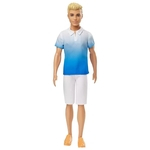 Ficha técnica e caractérísticas do produto Barbie - Ken Fashionista - Mattel Dwk44