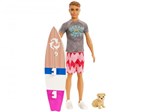 Barbie Ken Surfista com Acessórios - Mattel